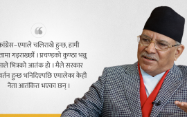 प्रचण्डसँग वार्ता-‘विकसित घटनाक्रम हेरेर यो सरकार ढल्छ भनेको हुँ’