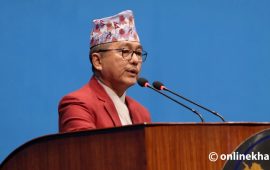 सरकार विरोधीको विचार निषेध गर्ने योजना बनाएर अघि बढ्यो : लिङ्देन
