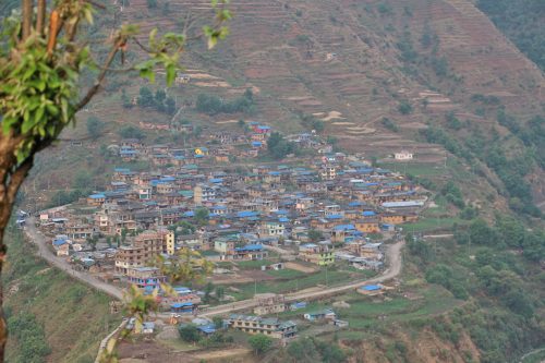 थबाङ, ट्वाइलेट र सुँगुर