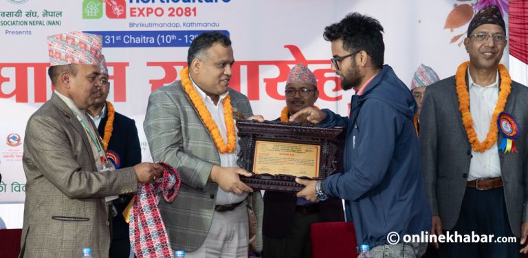 अनलाइनखबरकर्मी चिमरिया सम्मानित