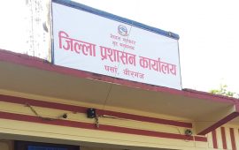 पर्सामा एक महिनामा आमाको नामबाट ३३ नागरिकता जारी