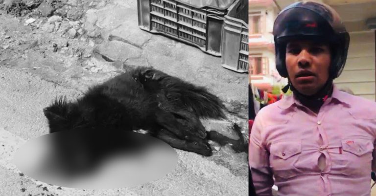 कुकुरलाई कुटीकुटी हत्या गर्ने व्यक्ति प्रहरी नियन्त्रणमा