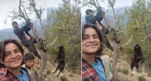 रोल्पामा कुकुरलाई झुड्याएर तड्पाउँदै यसरी मारियो
