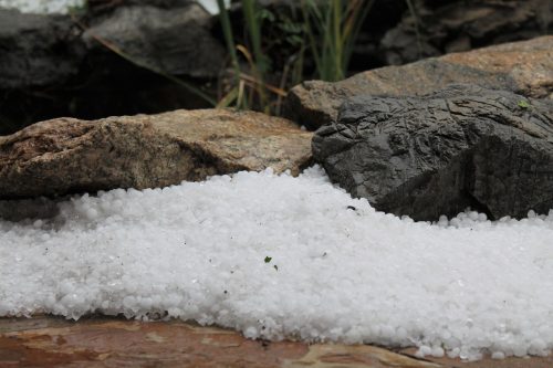 बिहारमा असिना पानीका कारण २५ जनाको मृत्यु