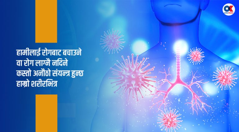 प्रतिरक्षा प्रणाली के हो, कसरी रोगबाट बचाउँछ ?