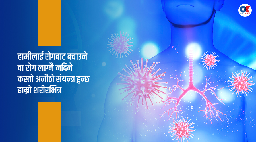 प्रतिरक्षा प्रणाली के हो, कसरी रोगबाट बचाउँछ ?