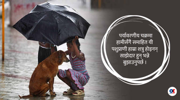 बालबालिकाले सिक्नुपर्छ पशुप्राणीलाई माया र सम्मान गर्न