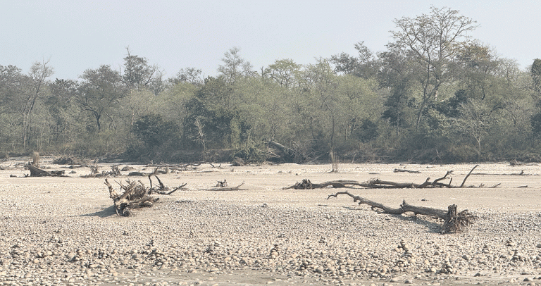 कर्णाली नदीमा हरेक वर्ष बग्छन् करोडौंका काठ