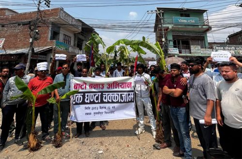 सडक नबनाएको भन्दै दाङमा केरा रोपेर विरोध प्रर्दशन