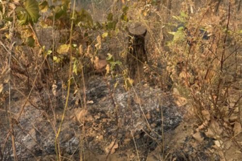 मकवानपुरमा एक जनाको भीरबाट लडेर मृत्यु