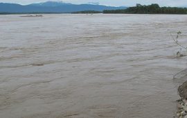 नारायणीको जलसतह हालसम्मकै उच्च