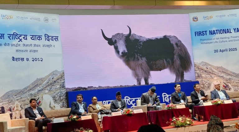 पहिलो पटक मनाइयो ‘राष्ट्रिय याक दिवस’