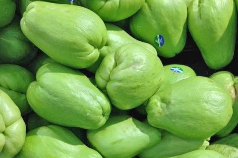 इस्कुस र टाटे सिमीको मूल्य किलोमै २० रुपैयाँ बढ्यो
