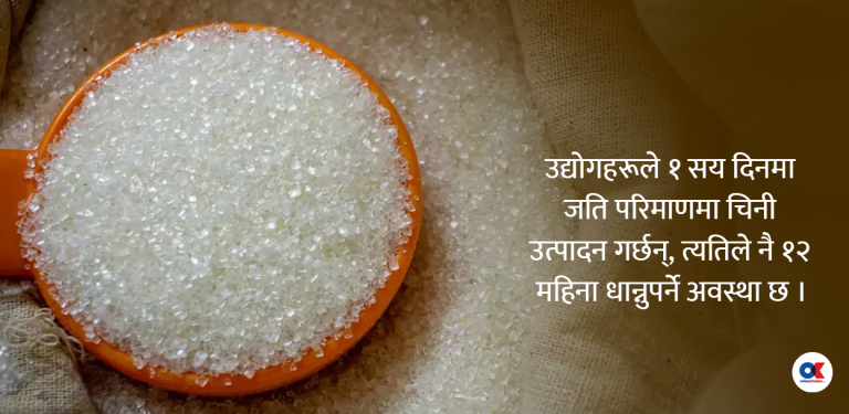 माग बढेको बढ्यै, किन घट्यो चिनी उत्पादन ?