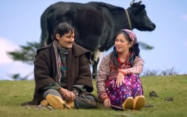 सिलिण्डर लिन ओमान उड्यो नेपाल एयरलाइन्सको विमान