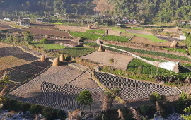 कृषि क्षेत्रमा छैन अद्यावधिक एकीकृत तथ्यांक