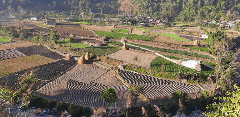 कृषि क्षेत्रमा छैन अद्यावधिक एकीकृत तथ्यांक