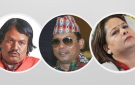 जनमत र नाउपा संविधान संशोधनमा निर्णायक