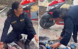 सुत्केरी व्‍यथाले छट्पटिएकी महिलाले प्रहरीको सहयोगमा सडकमै जन्माइन् बच्चा