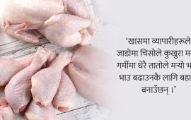 ह्वात्तै बढ्यो कुखुरा मासुको भाउ, ‘कार्टेलिङ’ को शंका