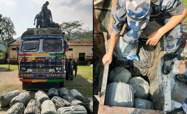 सुनसरीबाट ७८३ किलो गाँजासहित ट्रक नियन्त्रणमा