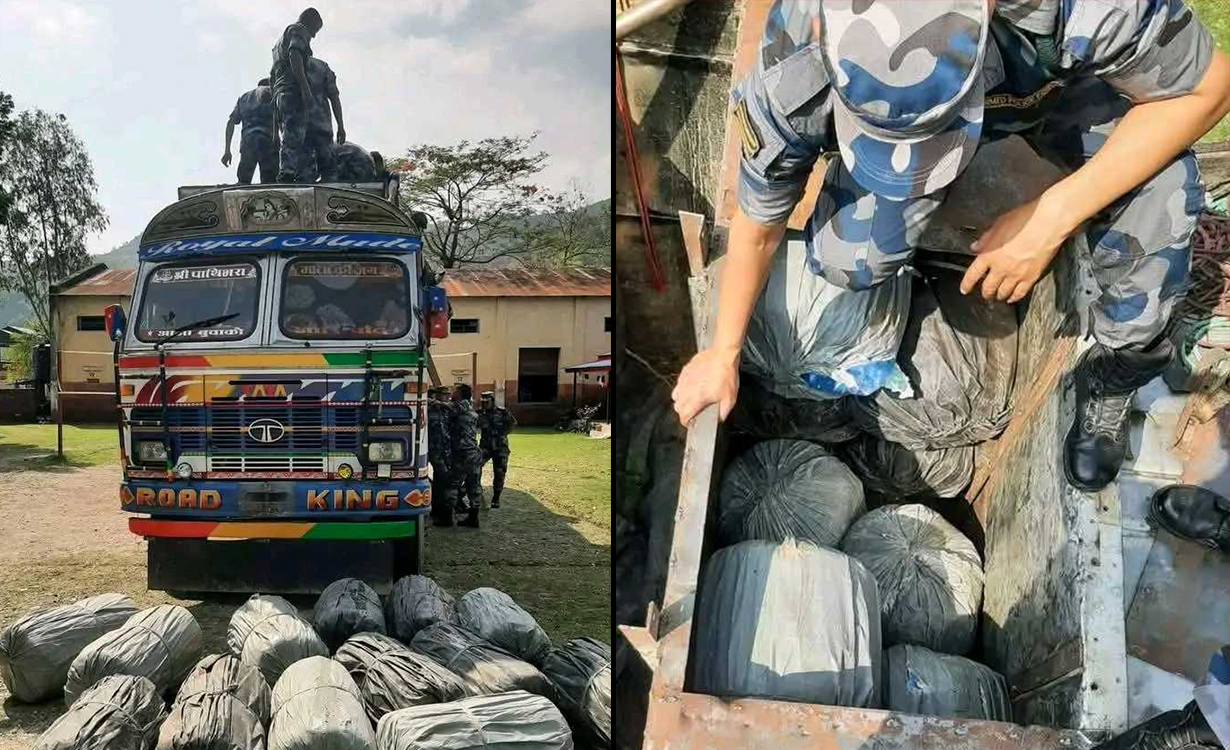 सुनसरीबाट ७८३ किलो गाँजासहित ट्रक नियन्त्रणमा