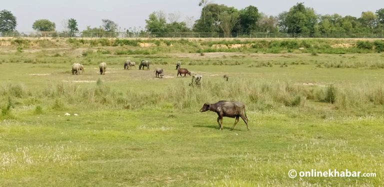 गौतमबुद्ध विमानस्थलको जग्गा अधिग्रहण र मुआब्जा वितरणमा प्रश्नैप्रश्न