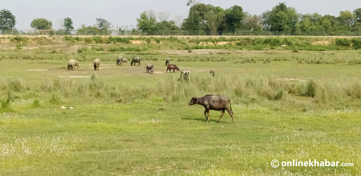 गौतमबुद्ध विमानस्थलको जग्गा अधिग्रहण र मुआब्जा वितरणमा प्रश्नैप्रश्न