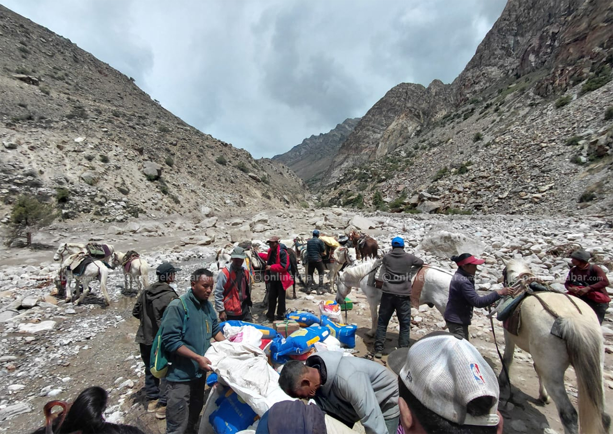 हुम्ला हिमपहिरो : एक सातापछि घोडाले पुर्‍याउँदैछ तिलगाउँमा राहत