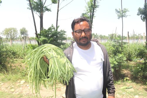 वार्षिक दुई करोडको तरकारी उत्पादन, ३८ जनालाई रोजगारी