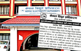 ‘डेडिकेटेड’ र ‘ट्रंक लाइन’ बक्यौता असुलीमा प्राधिकरणको पुनरावेदन आह्वान