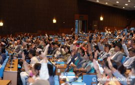प्रतिनिधि सभा बैठक बस्दै, संघीय निजामती विधेयक पारित गर्ने तयारी