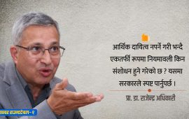सार्वजनिक खरिदलाई किन चलाउने ?