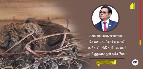 ढुकुर र सरकार