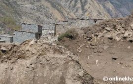 हिमपहिरोले तिलगाउँको ५ करोड क्षति