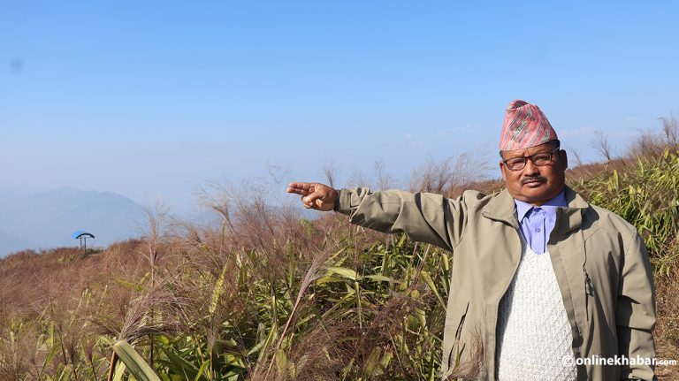 अब पाल्पाको चिनारी बन्दैछ अम्रिसो