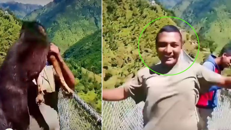 कुकुरलाई झोलुङ्गे पुलबाट जिउँदै फ्याँक्ने को हुन् यी ?