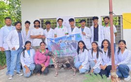 कुकुर उद्धार दिवस २०२५ मा विद्यार्थीले गरे ‘ब्रुनो’को उपचार