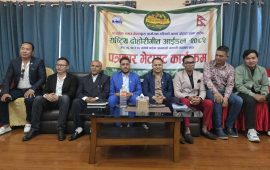 राष्ट्रिय दोहोरीगीत आइडल आयोजना हुने