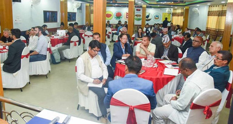 काठमाडौं महानगरमा शैक्षिक गोलमेच