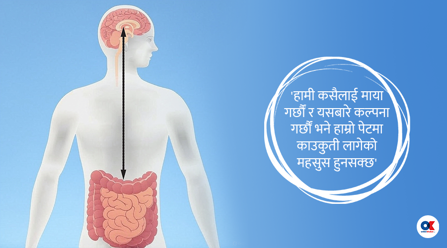 हाम्रो पेट र मस्तिष्कबीच के छ सम्बन्ध ?
