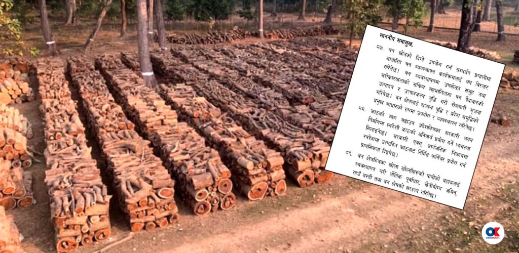 वन क्षेत्र : राजस्व वृद्धि र समृद्धिको प्रमुख आधार