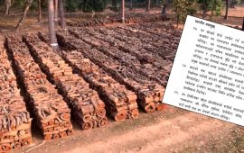 वन क्षेत्र : राजस्व वृद्धि र समृद्धिको प्रमुख आधार