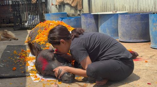 ‘मिल्ने भए, तिमीलाई मेरो आयु दिन्थेँ’