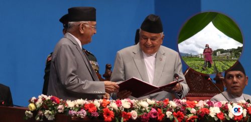 नीति तथा कार्यक्रम : पात्रो फेरेर कृषिमा पुरानै रटान