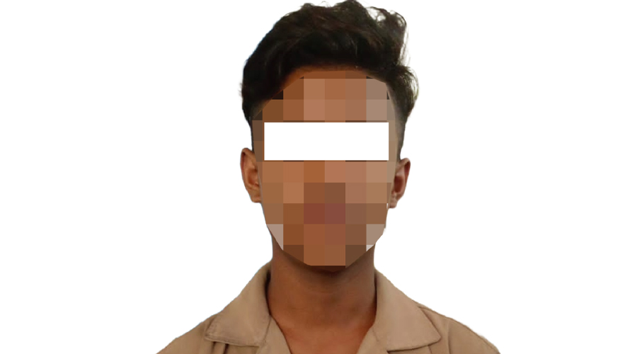 चार्जिङ सेन्टरमा राखेको माइक्रोबस बनस्थलीबाट चोरी, एक पक्राउ