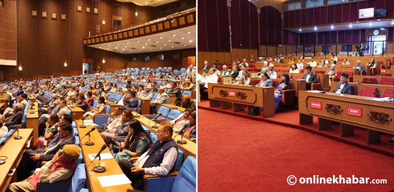 नीति तथा कार्यक्रम पास गर्दा प्रतिनिधिसभामा ४४ र राष्ट्रिय सभामा ३ सांसद् अनुपस्थित