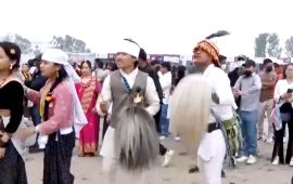 काठमाडौंमा मनाइयो साकेला उभौली
