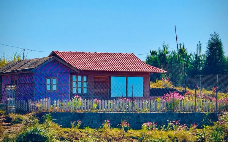 ऊनको स्वीटर : सिनेमाले कथा मात्र भन्दैन