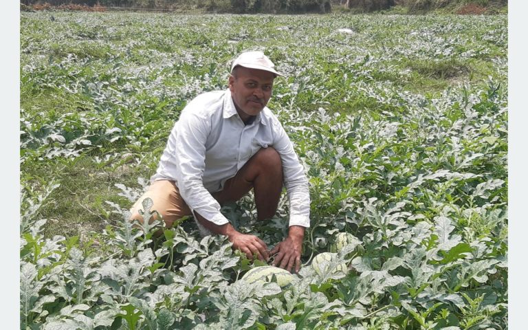 पोखराका दुई किसानले बेचे १५ लाख बढीका तरबुजा